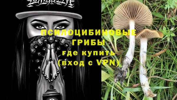 ешки Арсеньев