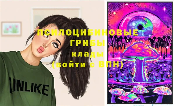 твердый Армянск