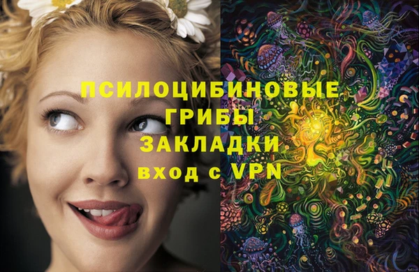 твердый Армянск