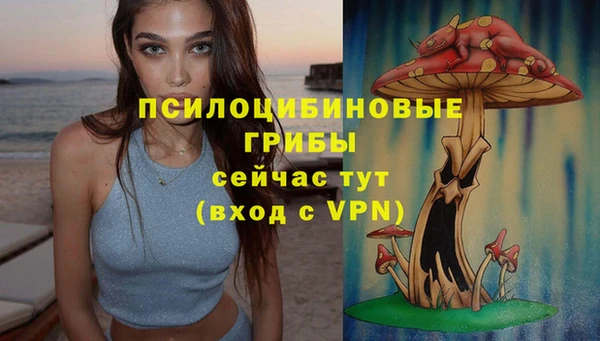 2c-b Аркадак