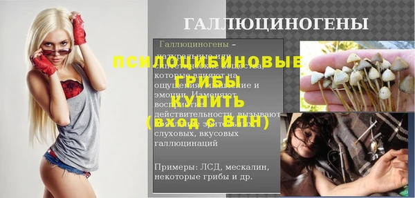 ешки Арсеньев