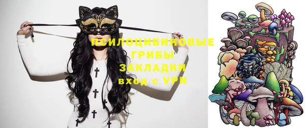 ешки Арсеньев